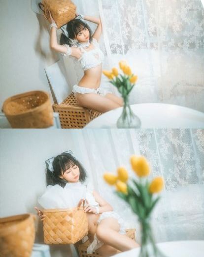 《探索者的羽翼》