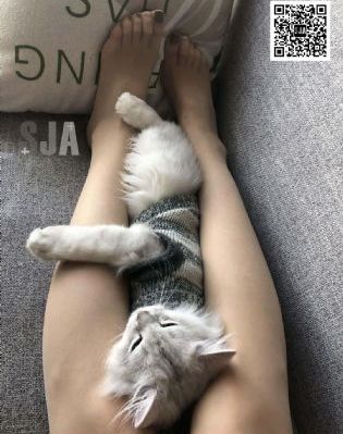 你好母亲大人电视剧30集在线观看