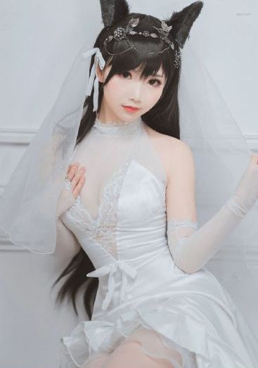 小姐在线观看剧完整免费韩剧